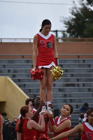 DSC_2309