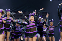 5 Shooting Stars