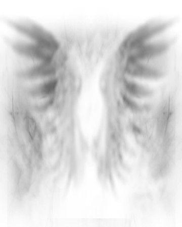 Wings Inspire-Focused