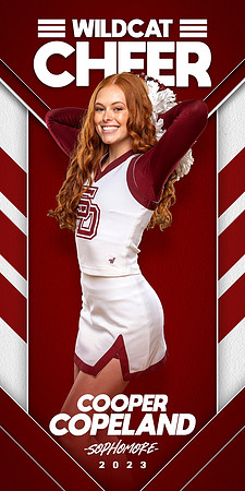 Match_Up_1x2_Vertical_CHEER+copy