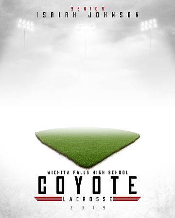 Coyotes 2019 Grass_16x20_Vertical