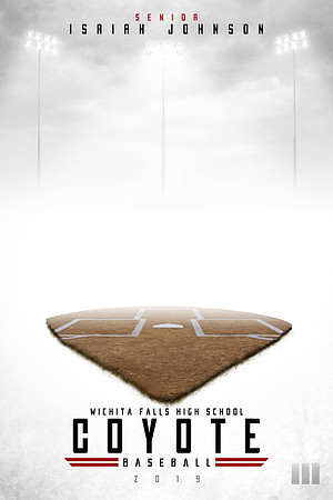 Coyotes 2019 Home_Plate_16x274V+copy