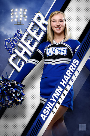 In_the_Dust_2x3_vertical_Cheer