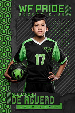 Torn Soccer_Torn_2x3_Vertical