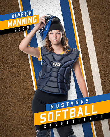 Zone_In_Dirt&Turf_16x20_Vertical Softball