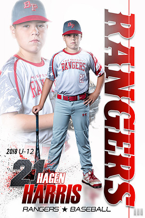 LRS baseball_Sample
