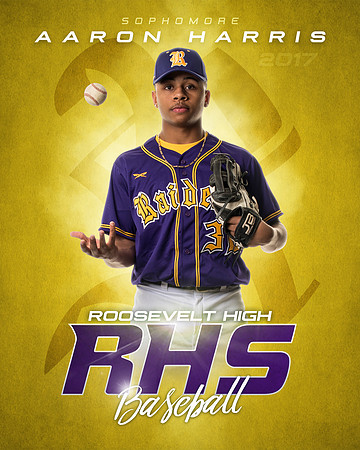 Vivid RHS_Baseball_Individual_16x20