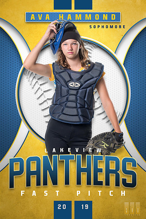 Ziva 2019Softball_Vertical_16x24_2
