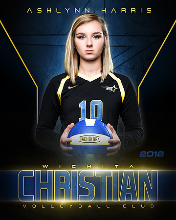 WCS_Vball_Ind_16x20_multi_color
