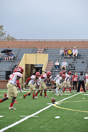 DSC_2015